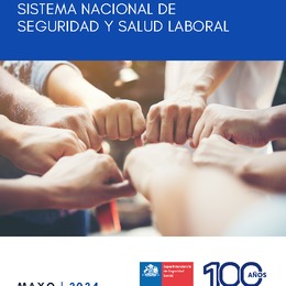 XI Memoria anual sistema nacional de seguridad y salud laboral del año 2023