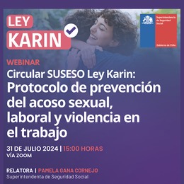 Circular SUSESO Ley Karin efectuado el jueves 31 de julio de 2024